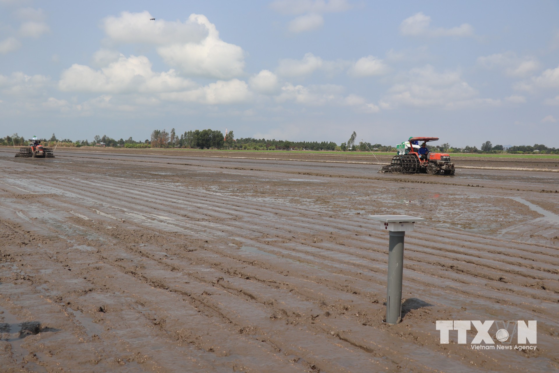 Thiết bị đo mực nước trên đồng ruộng (thường áp dụng công nghệ cảm biến kết nối IoT) là công cụ nòng cốt giúp thực hiện kỹ thuật tưới ướt - khô xen kẽ (AWD). (Ảnh: Thu Hiền/TTXVN)